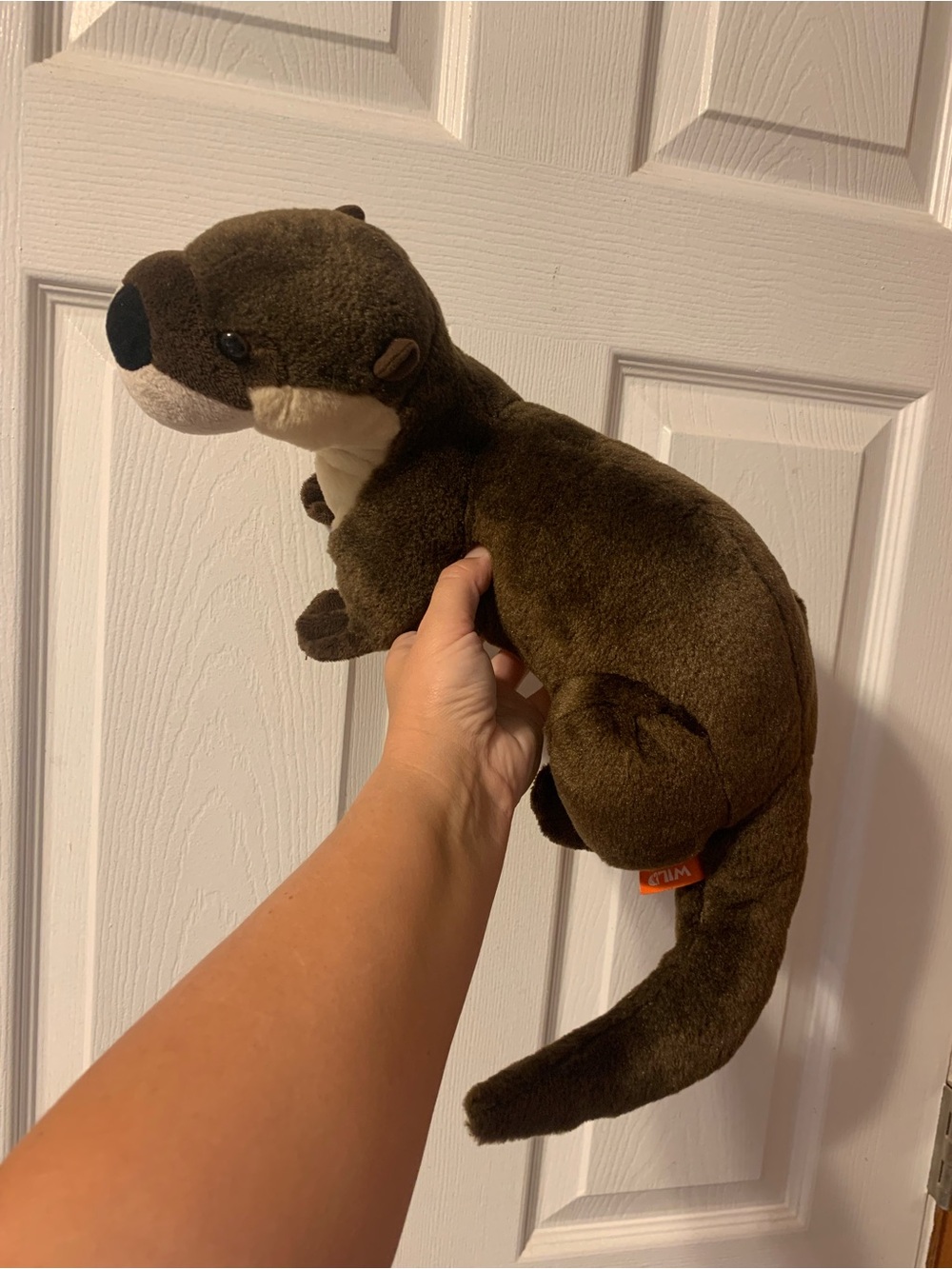 Soft Stuffed Animal - Picture 2 of 3